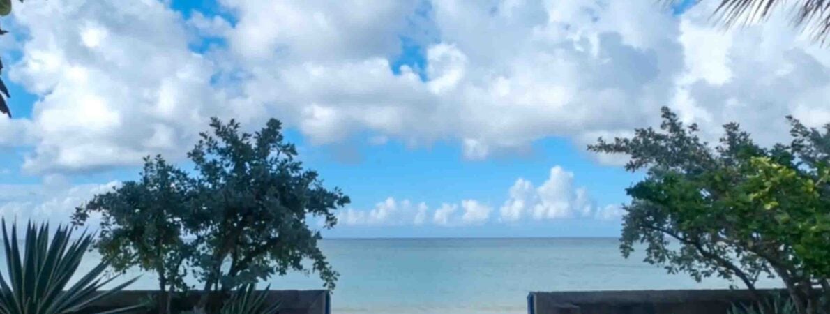 View of the beach from the cottage